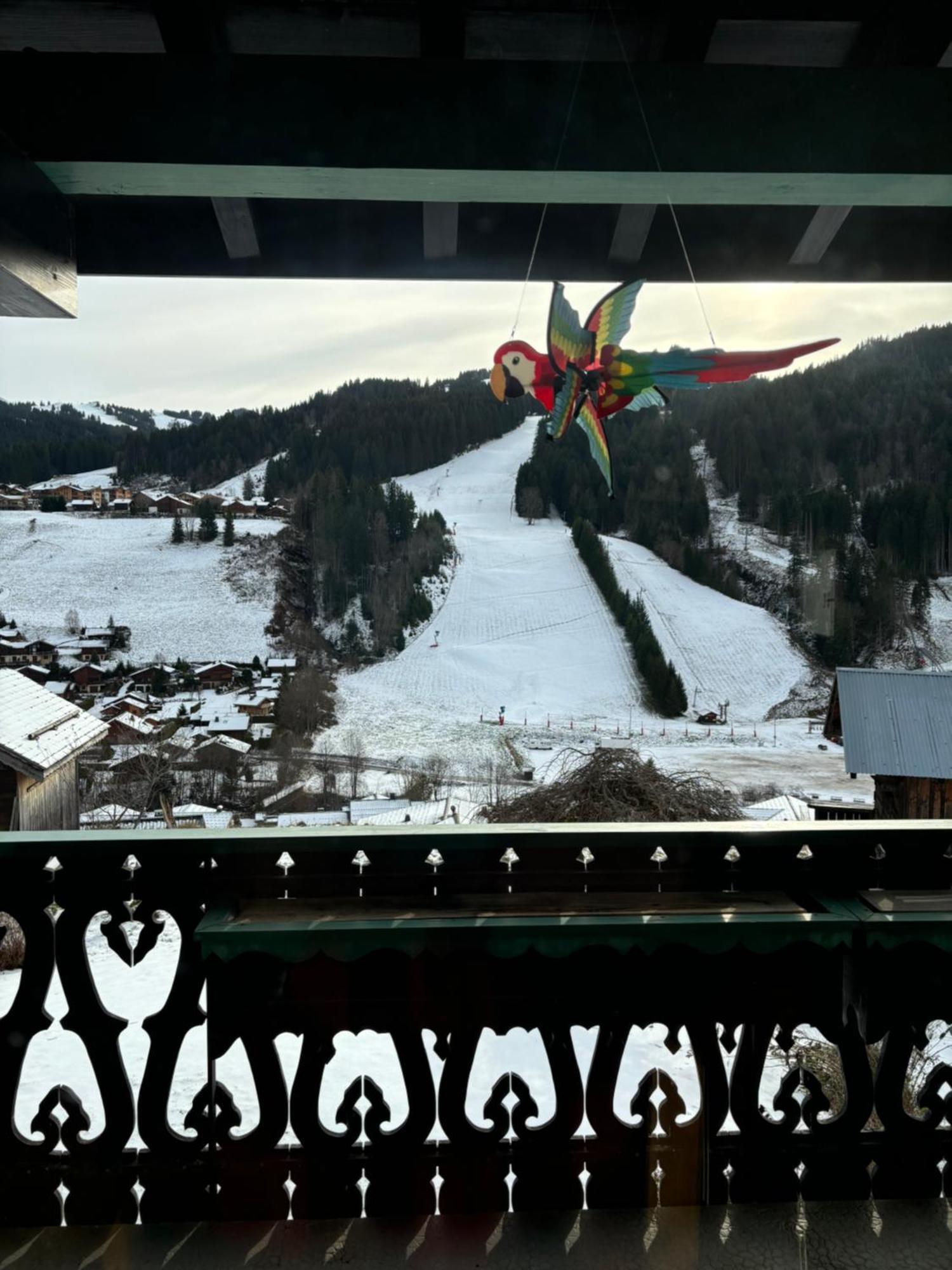 Chalet Fleur Des Alpes 레게츠 외부 사진